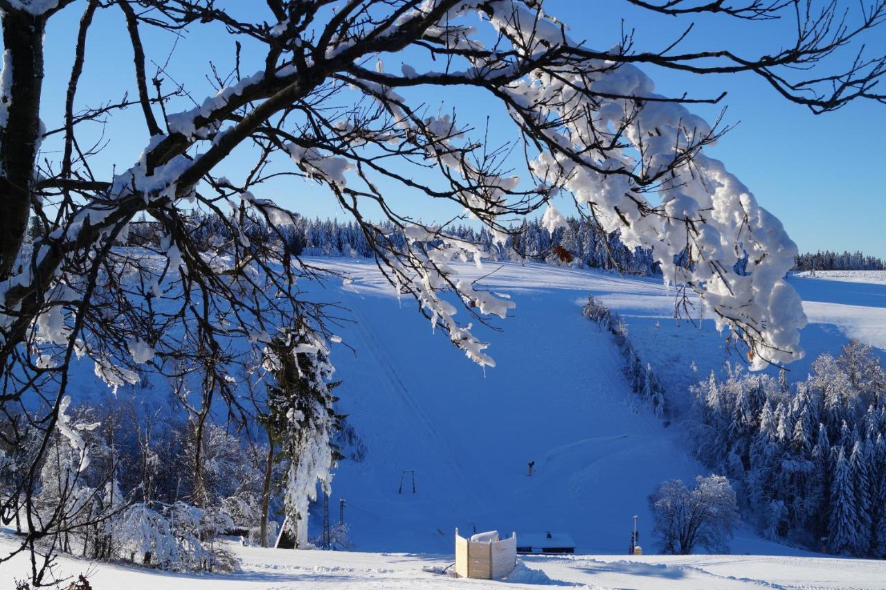 Hotel Pension De Gasterei Winterberg Zewnętrze zdjęcie